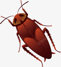 蟑螂害虫可怕褐色蟑螂矢量图高清图片