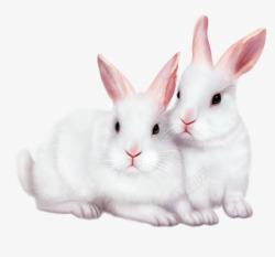 Q版粉色独角兽两只小白兔高清图片