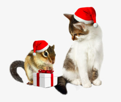 戴着圣诞帽的猫和老鼠素材