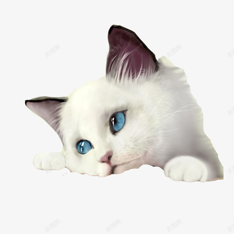 卡通蓝眼睛猫咪png免抠素材_88icon https://88icon.com 东张西望 四处张望 忧伤 忧愁 毛茸茸 白色猫咪 目视前方 眼神忧郁 蓝色眼睛 躺着的猫