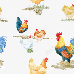卡通手绘彩色公鸡群白色鸡矢量图素材