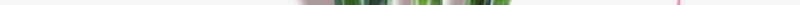 手绘装饰康乃馨鲜花psd免抠素材_88icon https://88icon.com 康乃馨 手绘 花儿 花朵 花束 装饰图案 鲜花