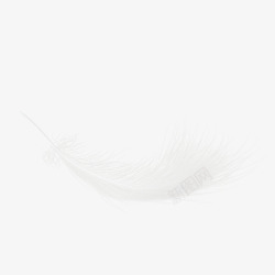 鸟元素白色羽毛矢量图高清图片