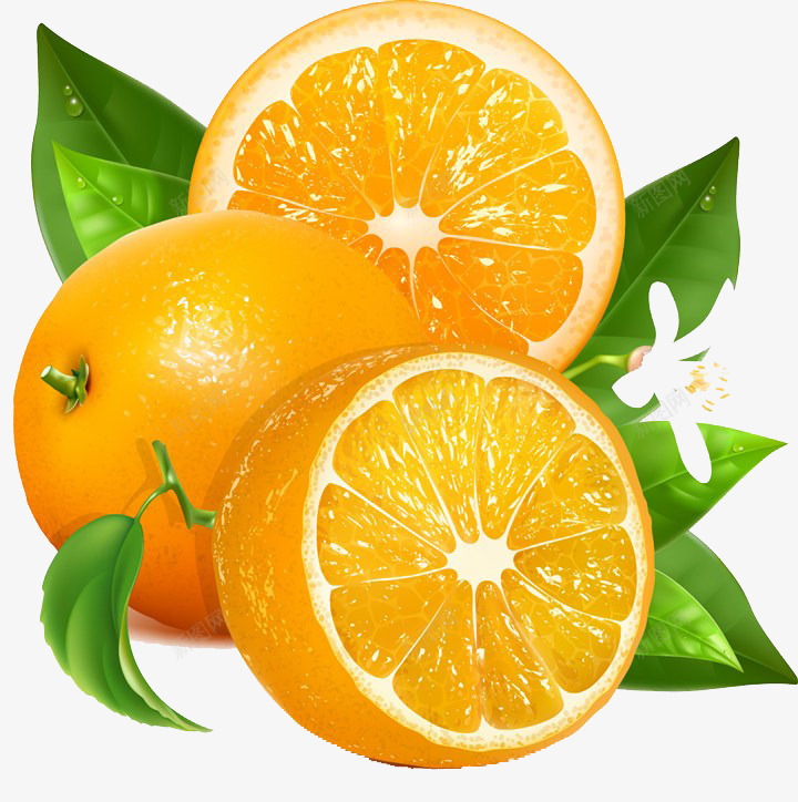 橙子元素果肉新鲜水果png免抠素材_88icon https://88icon.com PNG 健康 创意 夏日美食 新鲜水果 果肉 橘子 橙子 橙汁 橙色 水果 营养