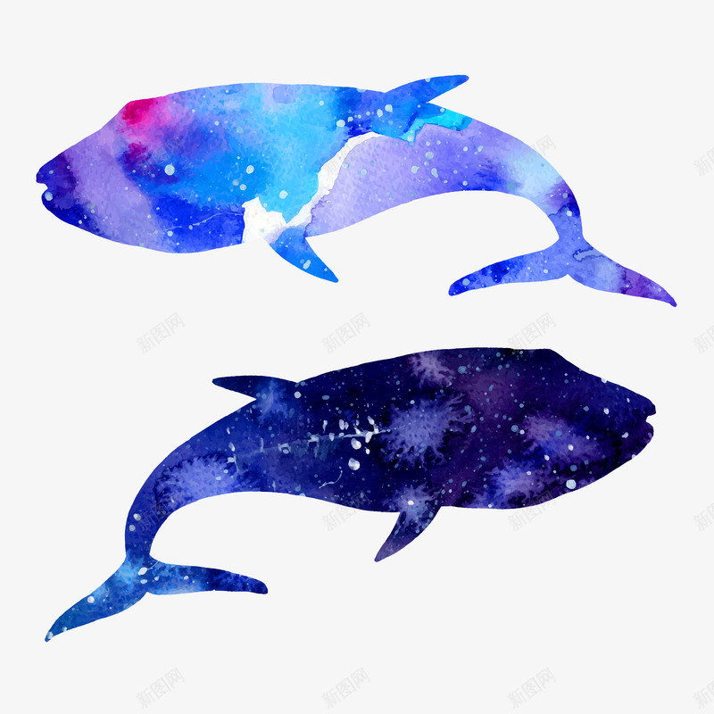 蓝色鲸鱼两头png免抠素材_88icon https://88icon.com 动物 大鱼 彩色 文艺 水彩风 飞天鲸鱼 鲸鱼 鲸鱼插图