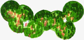 绿色创意植物平面图png免抠素材_88icon https://88icon.com 创意 平面图 植物 绿色