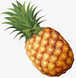 手绘菠萝菠萝手绘卡通水果高清图片