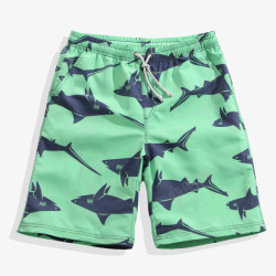 宽松跑步沙滩短裤绿色鲨鱼沙滩裤高清图片