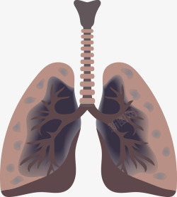 有些发黑的肺矢量图素材