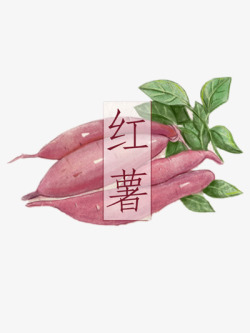 蔬菜销售名片红薯高清图片