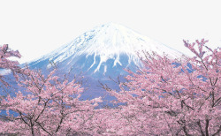 日本旅行富士山和樱花高清图片