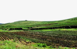 肥沃的草原肥沃黑土地高清图片