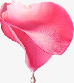 手绘水珠玫瑰花瓣高清图片