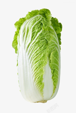 蔬菜实物大白菜高清图片