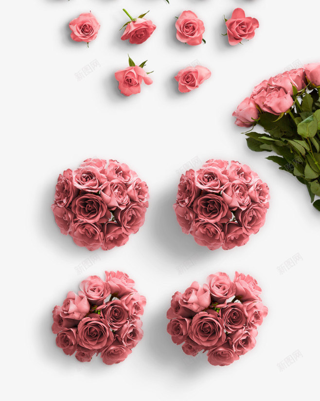 若干单支粉色玫瑰花png免抠素材_88icon https://88icon.com 免扣 单支 情人节素材 玫瑰花 粉色 若干