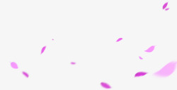 飘扬的花瓣飘扬海报紫色卡通花瓣效果植物高清图片