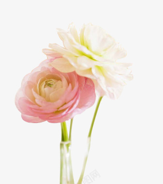 淡雅粉色花朵图标图标