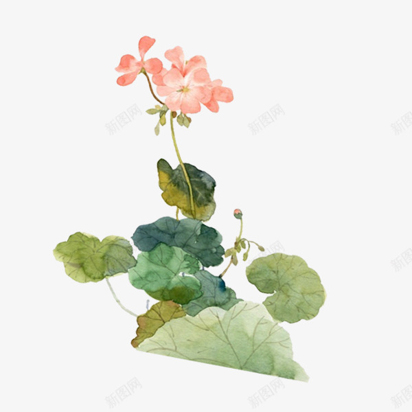 水墨手绘中国风荷花png免抠素材_88icon https://88icon.com 中国风 手绘 水墨 水彩 清新 荷花荷叶满池塘 粉色花朵 花卉植物 荷叶 荷花 鲜花