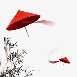 绔圭瘬伞竹高清图片