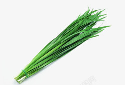 韭菜素材绿色食品韭菜高清图片