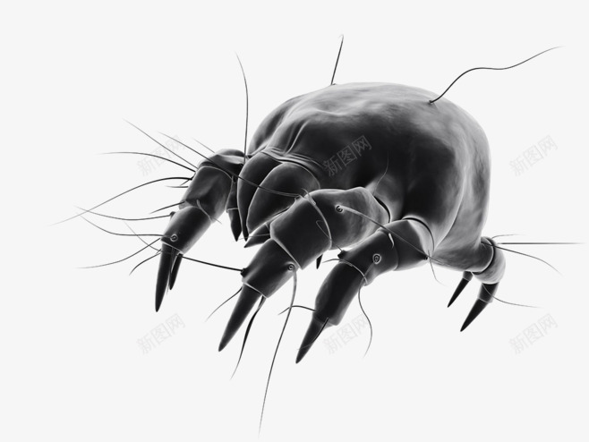 细菌螨虫png免抠素材_88icon https://88icon.com 动物 昆虫 细菌 螨虫