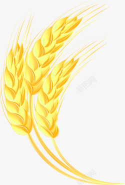 金色大气稻穗装饰图案素材