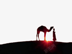 夕阳光夕阳下的骆驼高清图片