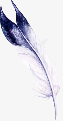 手绘蓝色质感羽毛素材