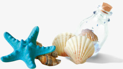 摄影夏日沙滩海星贝壳漂流瓶素材