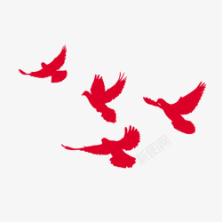 鸽子红飞翔的鸽子高清图片