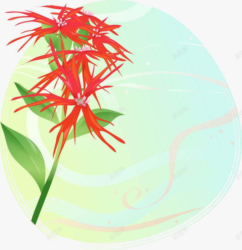 红花石蒜png免抠素材_88icon https://88icon.com 彼岸花 插画 曼珠沙华 曼珠沙华花 石蒜 红花 花 花卉 鲜红花