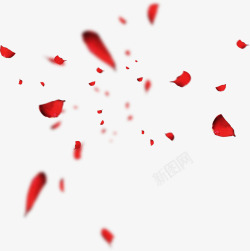 红色玫瑰花瓣结婚素材
