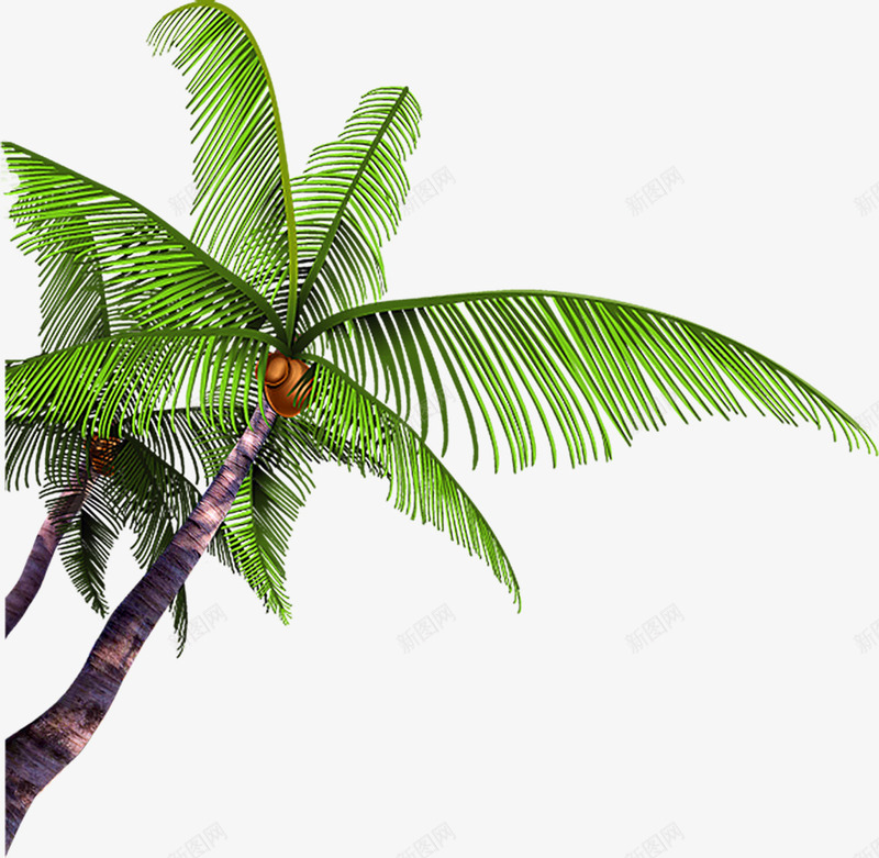 绿色植物卡通沙滩椰子树png免抠素材_88icon https://88icon.com 卡通 椰子树 沙滩 绿色植物