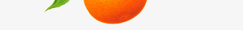 一串橙子橙叶图案png免抠素材_88icon https://88icon.com 一串水果图案 摘橙子 新鲜橙子 柠檬橙子 橙叶 橙子 橙子图片 橙子果园 橙子树 橙子水果 橙子熟了 橙子特写 橙子素材 水果橙子 美味橙子 赣南脐橙 高清橙子