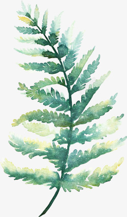 绿松石树叶水彩手绘的树叶子高清图片