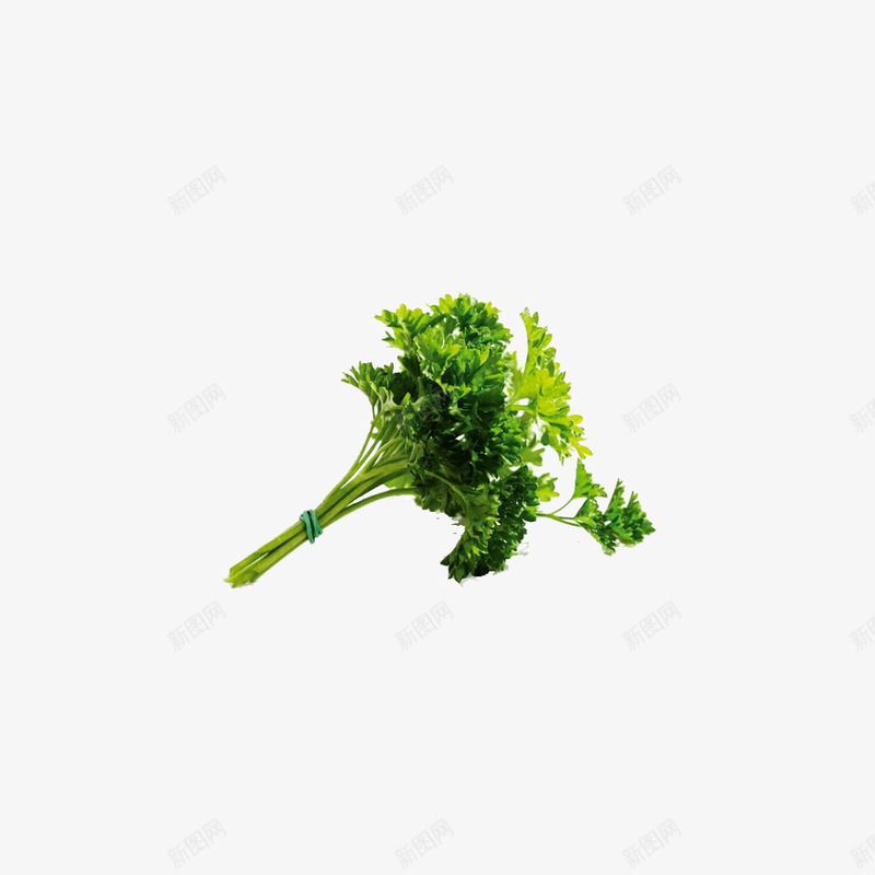 西餐配菜png免抠素材_88icon https://88icon.com 健康美味 新鲜 绿色 美食 蔬菜 西餐配菜 香味调料