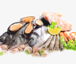 鱼虾贝类水生物产品实物海鲜鱼虾生鱼片蛤蜊高清图片