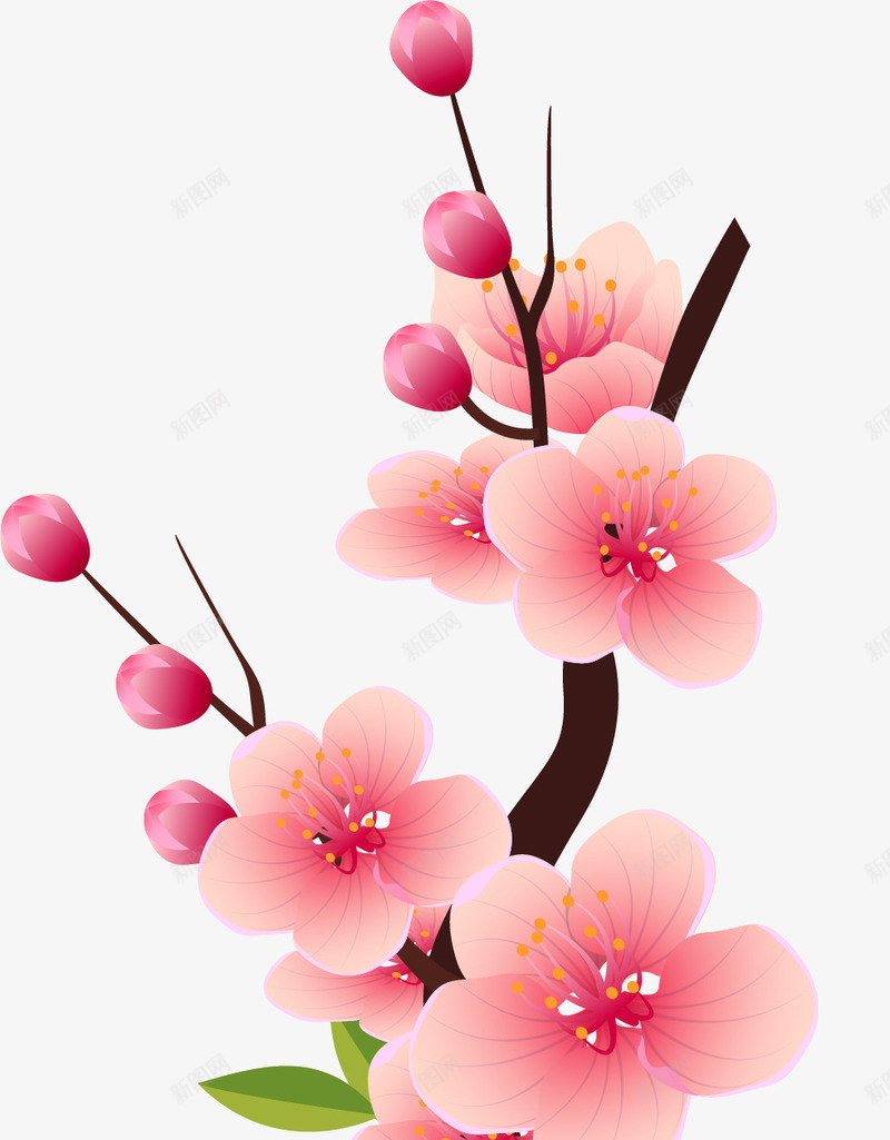花卉图1 春天花朵装饰图案矢量图png图片免费下载-素材uccfhef-88ICON