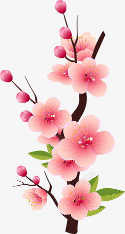 粉红色花朵春天花朵装饰图案矢量图高清图片