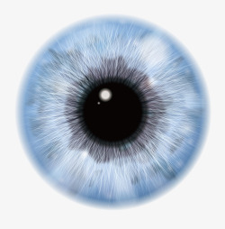 眼球矢量蓝色眼珠瞳孔高清图片
