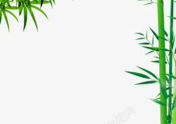 手绘绿色竹子背景素材