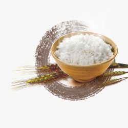 水稻农民水稻一碗米饭拒绝浪费高清图片