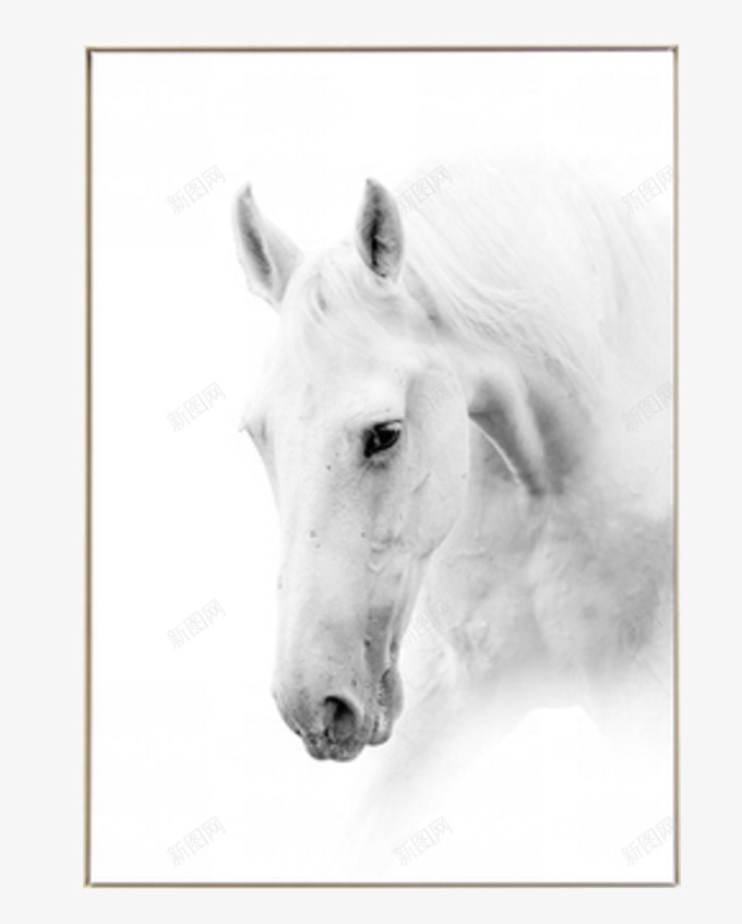 白马的美丽装饰画png免抠素材_88icon https://88icon.com 产品实物 北欧 干净 文艺 现代 白色 白马 装饰画 马匹