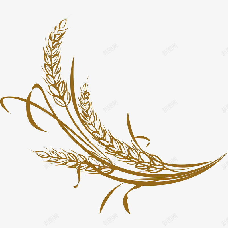 手绘麦穗png免抠素材_88icon https://88icon.com 叶子 手绘 稻子 褐色的麦穗 麦子 麦穗 麦穗线