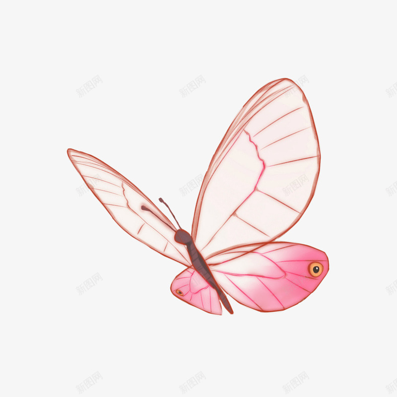 粉红色的小蝴蝶png免抠素材_88icon https://88icon.com 动物 粉红色 粉色 粉色的蝴蝶 蝴蝶