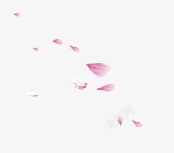 粉色花瓣雨素材