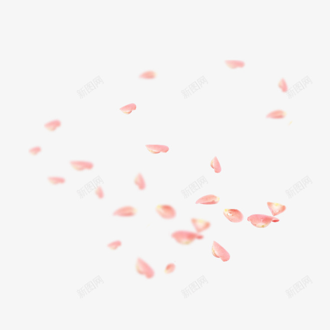 粉色花瓣装饰png免抠素材_88icon https://88icon.com 化妆品 粉色 花瓣 装饰