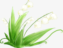 手绘白色铃兰花草植物素材