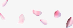 粉色花瓣特效装饰矢量图素材