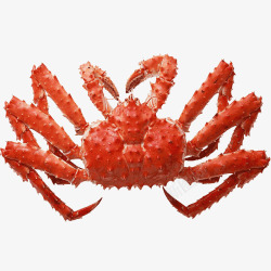 海鲜水产螃蟹矢量图实物美食美味帝王蟹高清图片